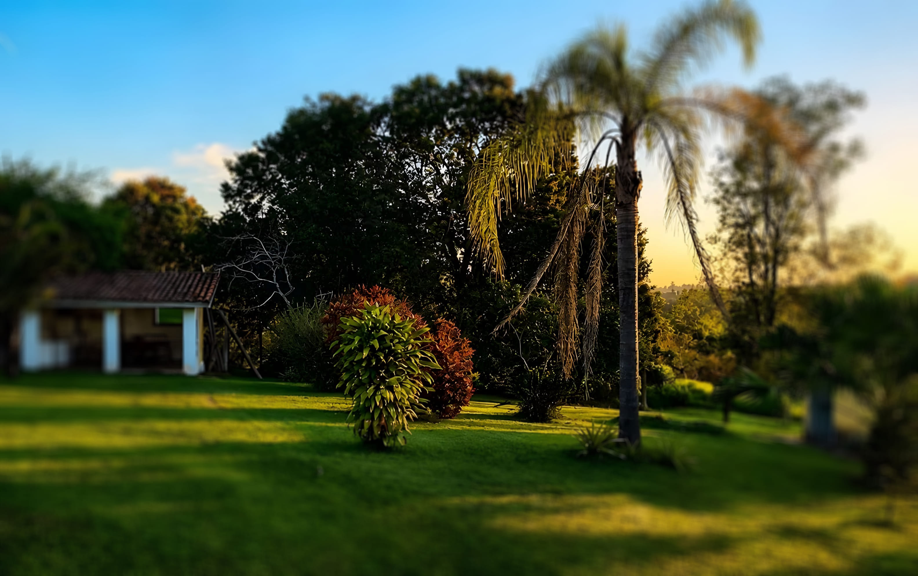 Casa entre o jardim da Villa Águas
