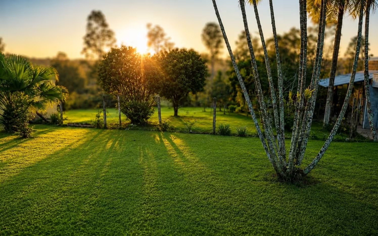 Casa e natureza na Villa Águas em São Pedro